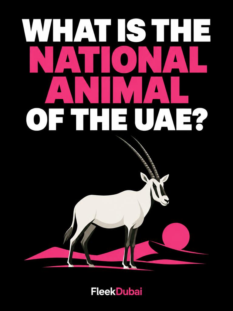 Fleek Dubai quiz post: What is the national animal of the UAE?