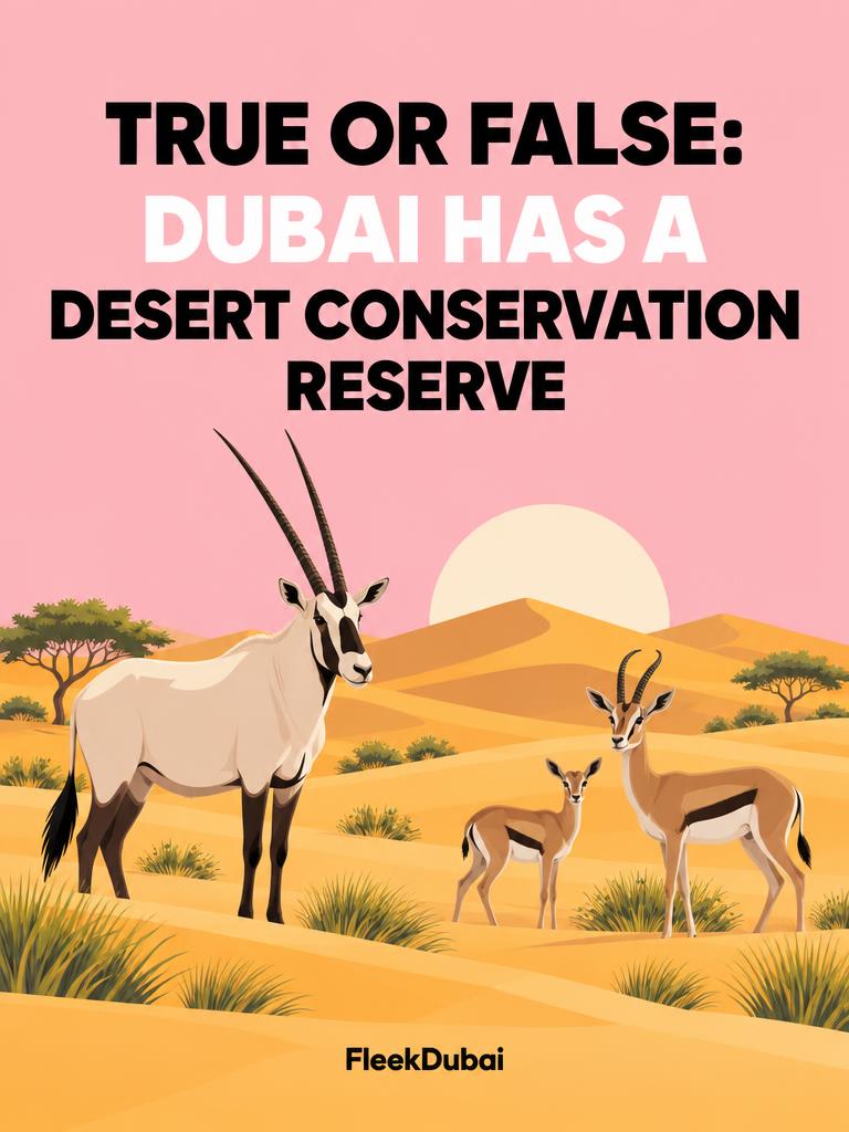 Fleek Dubai quiz post: True or false: Dubai has a desert conservation reserve